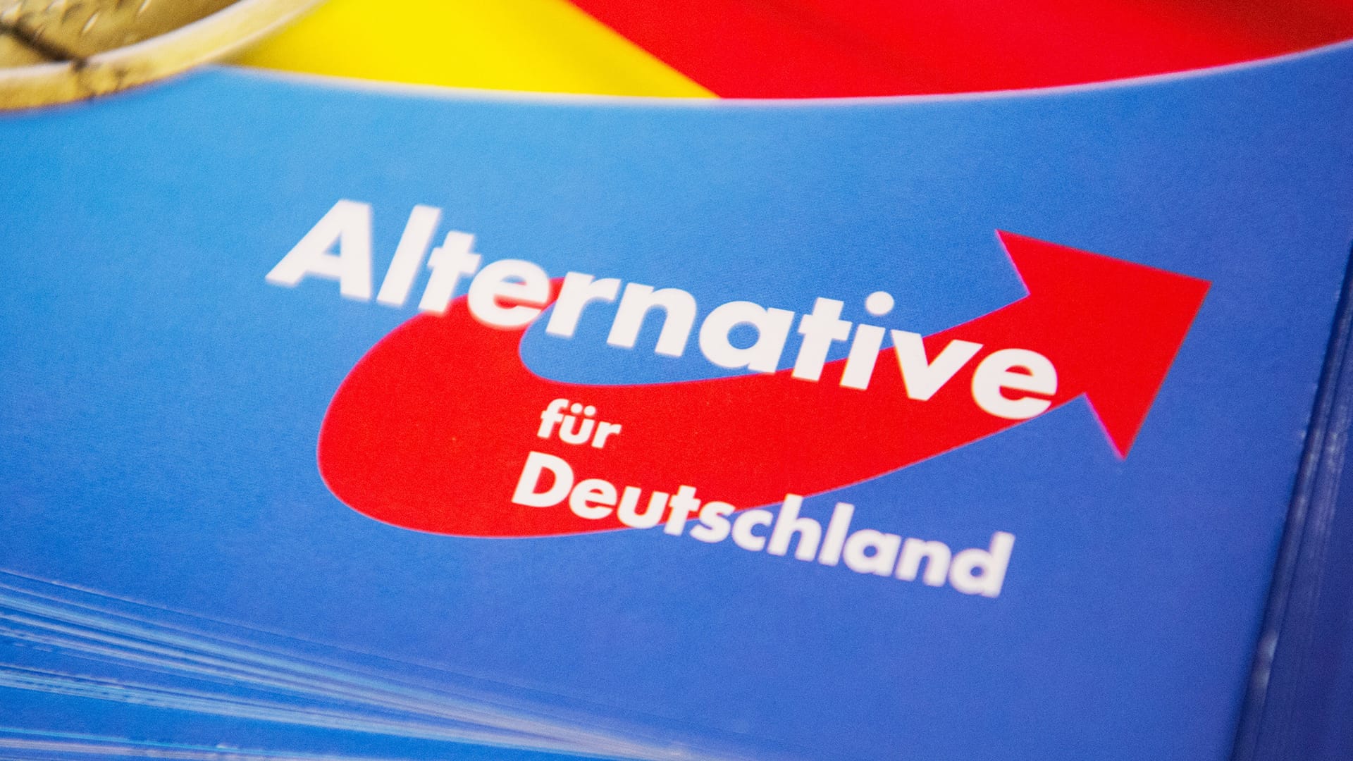 В бундестаге обсудили возможную работу членов AfD на Россию. Партия подает «чрезвычайно детализированные» запросы о слабых местах бундесвера